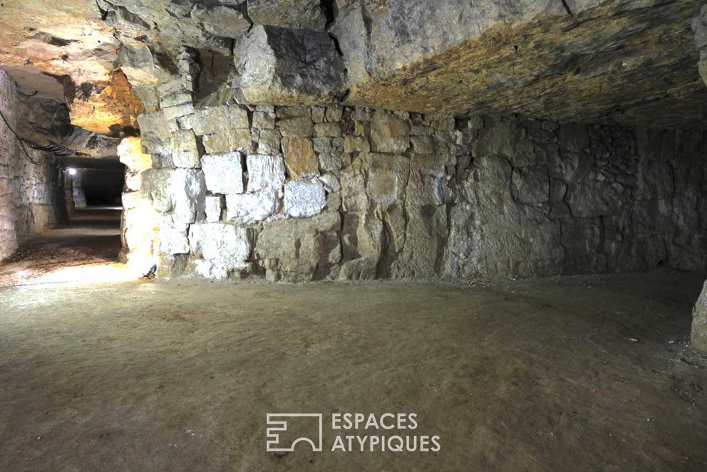 The caves