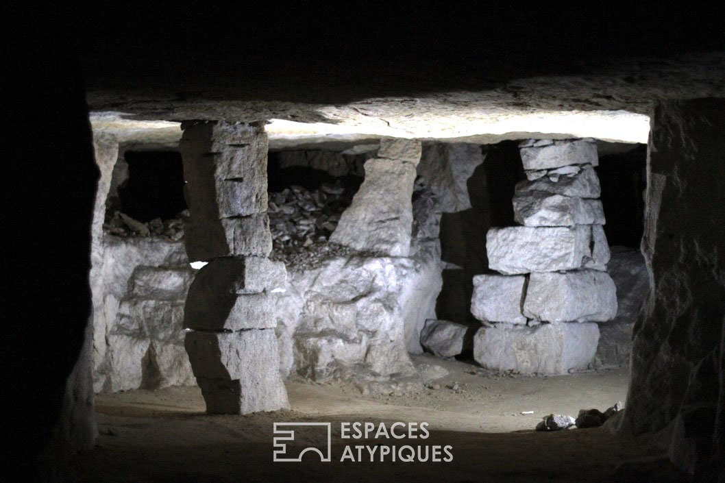 The caves