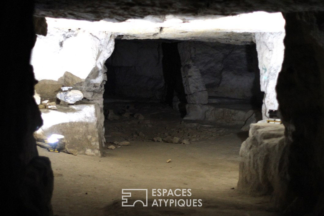 The caves
