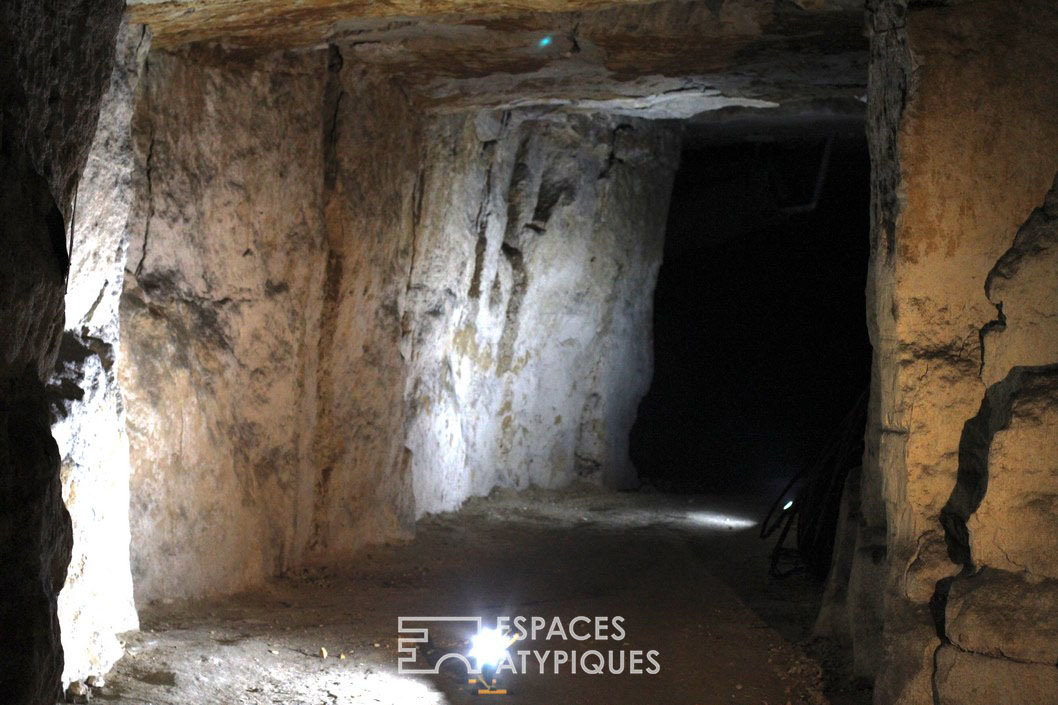 The caves