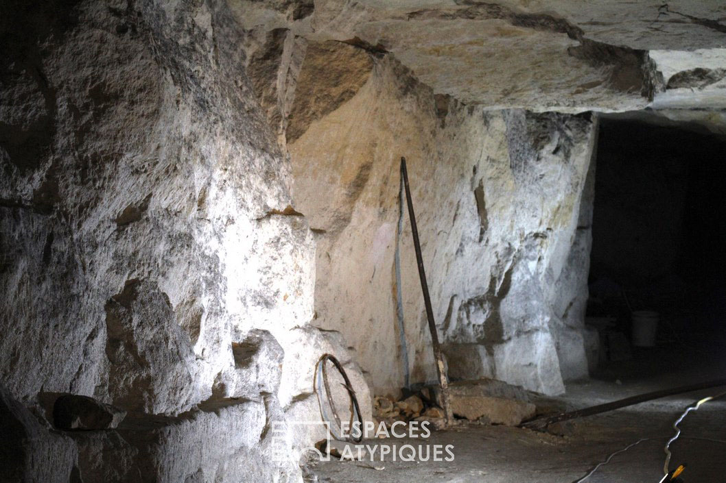 The caves