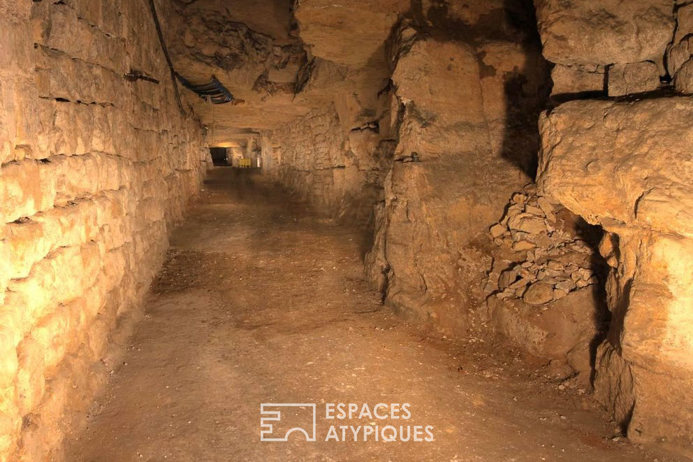 The caves
