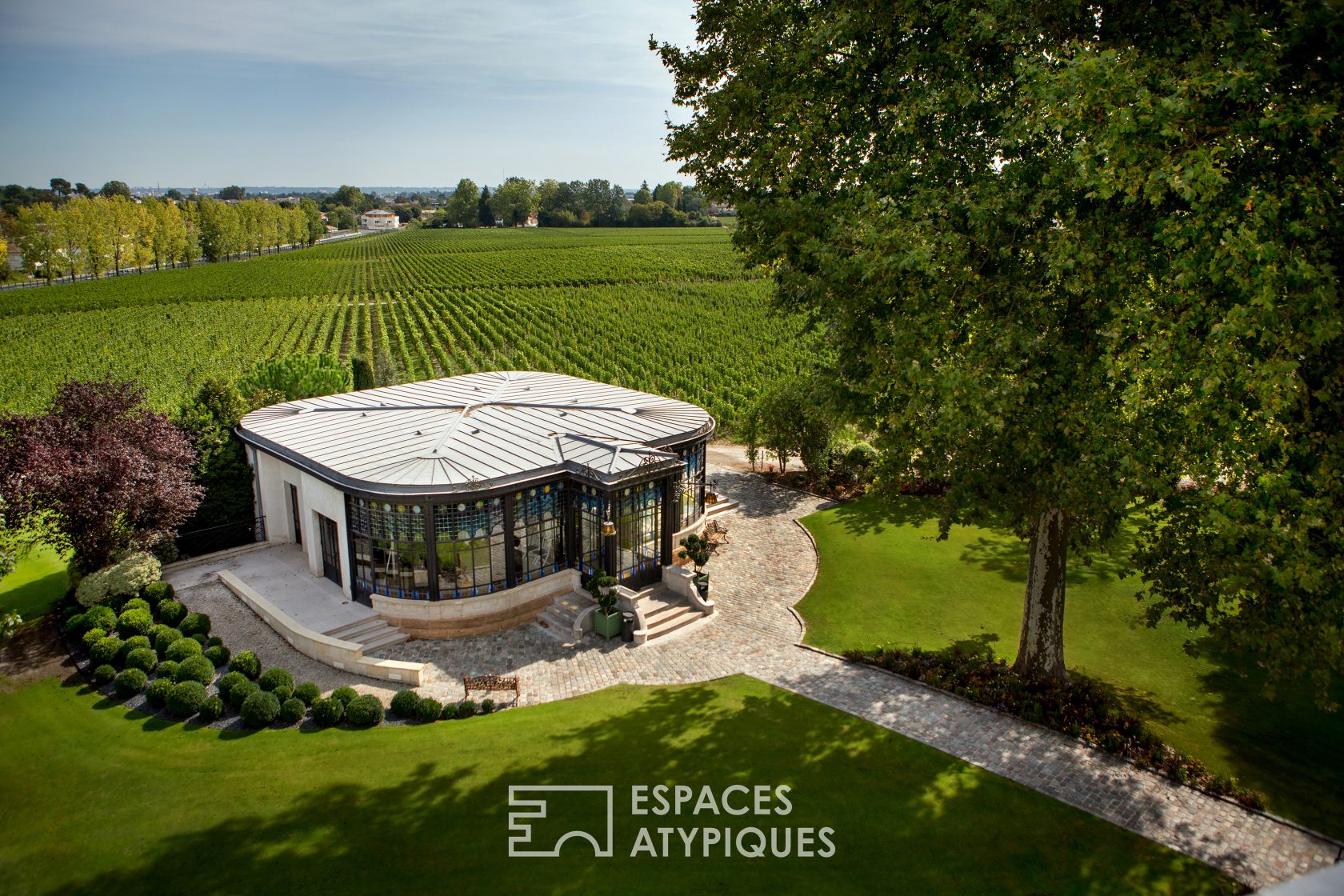 Castle in the middle of the vineyards