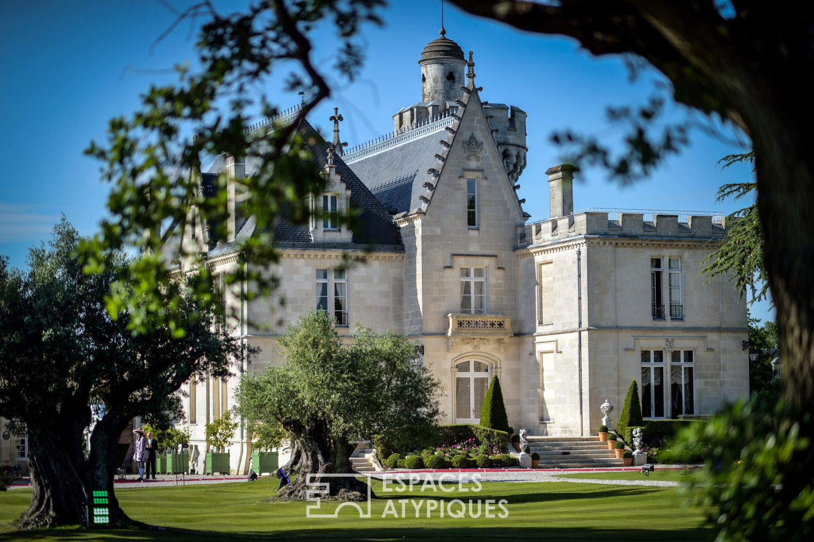 Castle in the middle of the vineyards