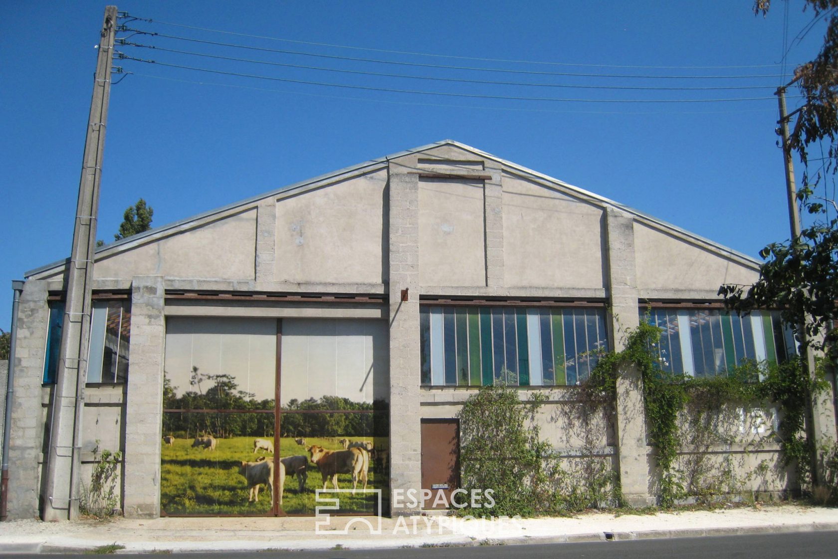 Hangar
