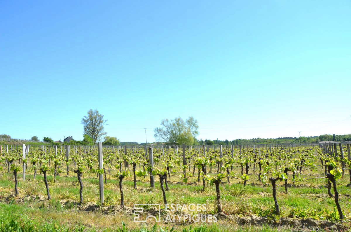 Wine shed