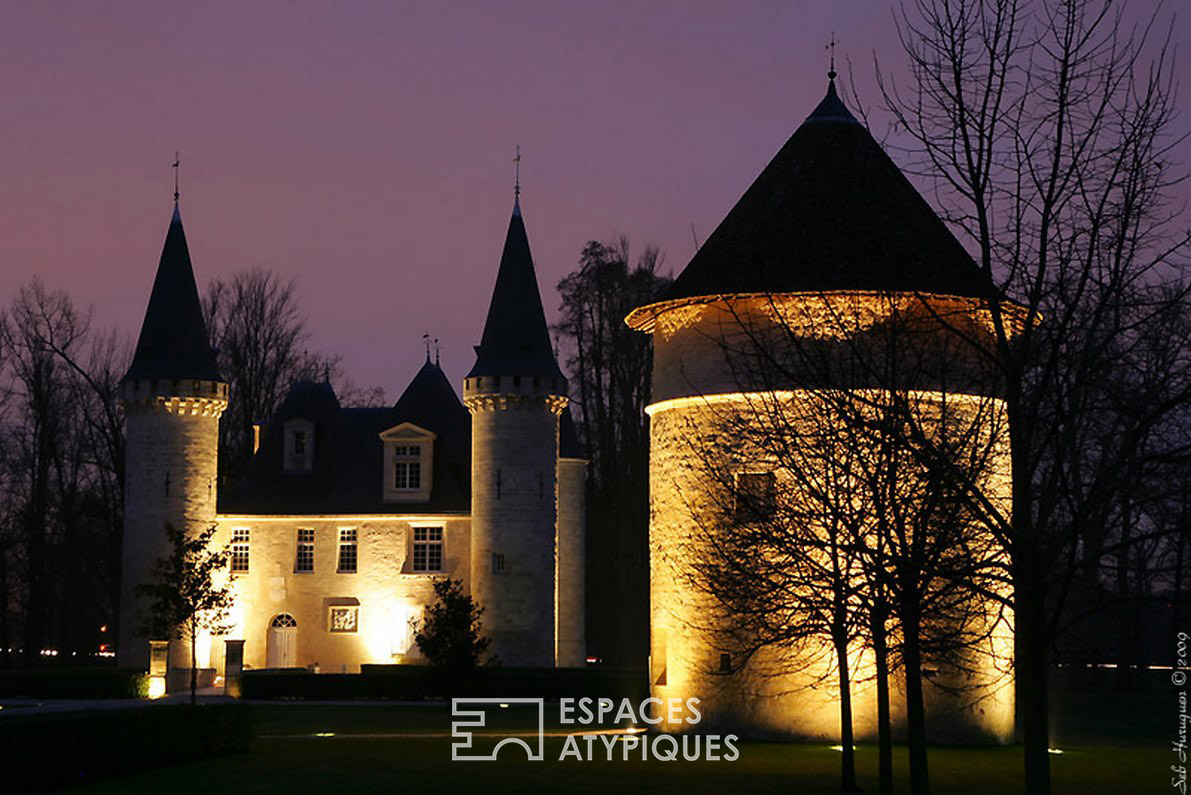 Exceptional castle