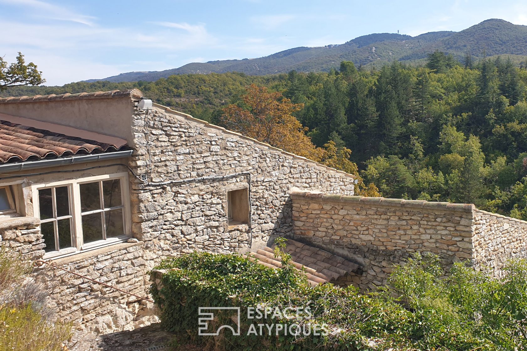 Le domaine d’olivier