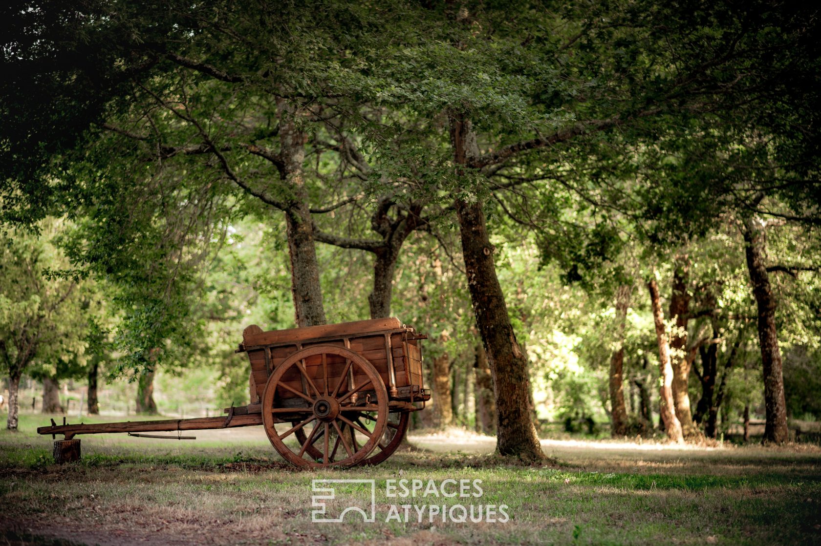Le saloon