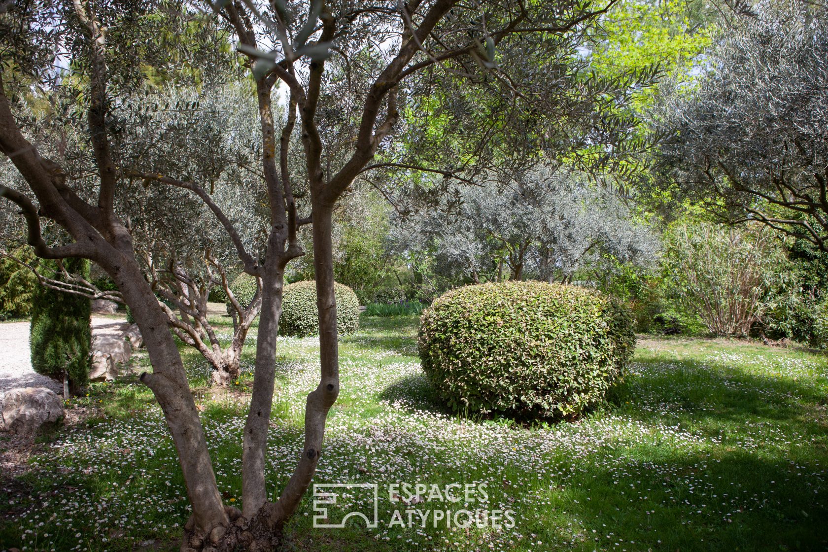 Flowered Domain in Provence