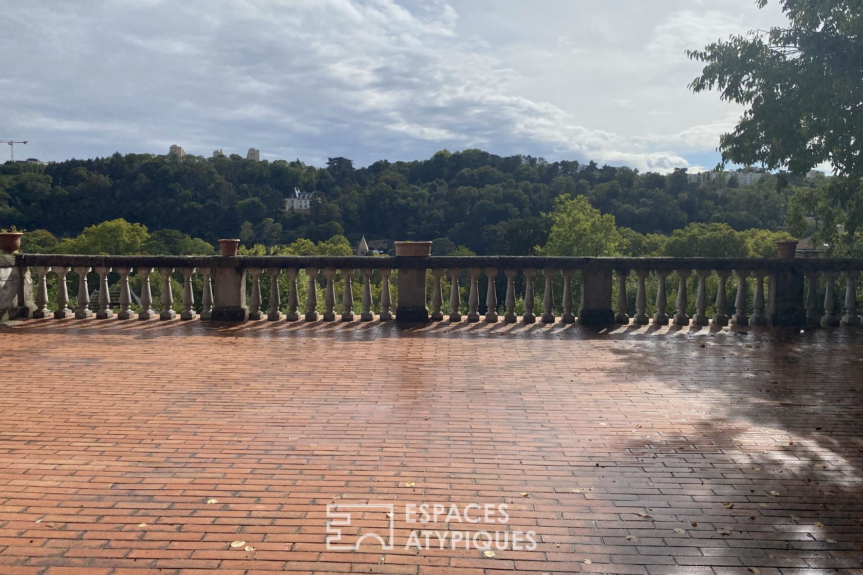 The space of the orangery