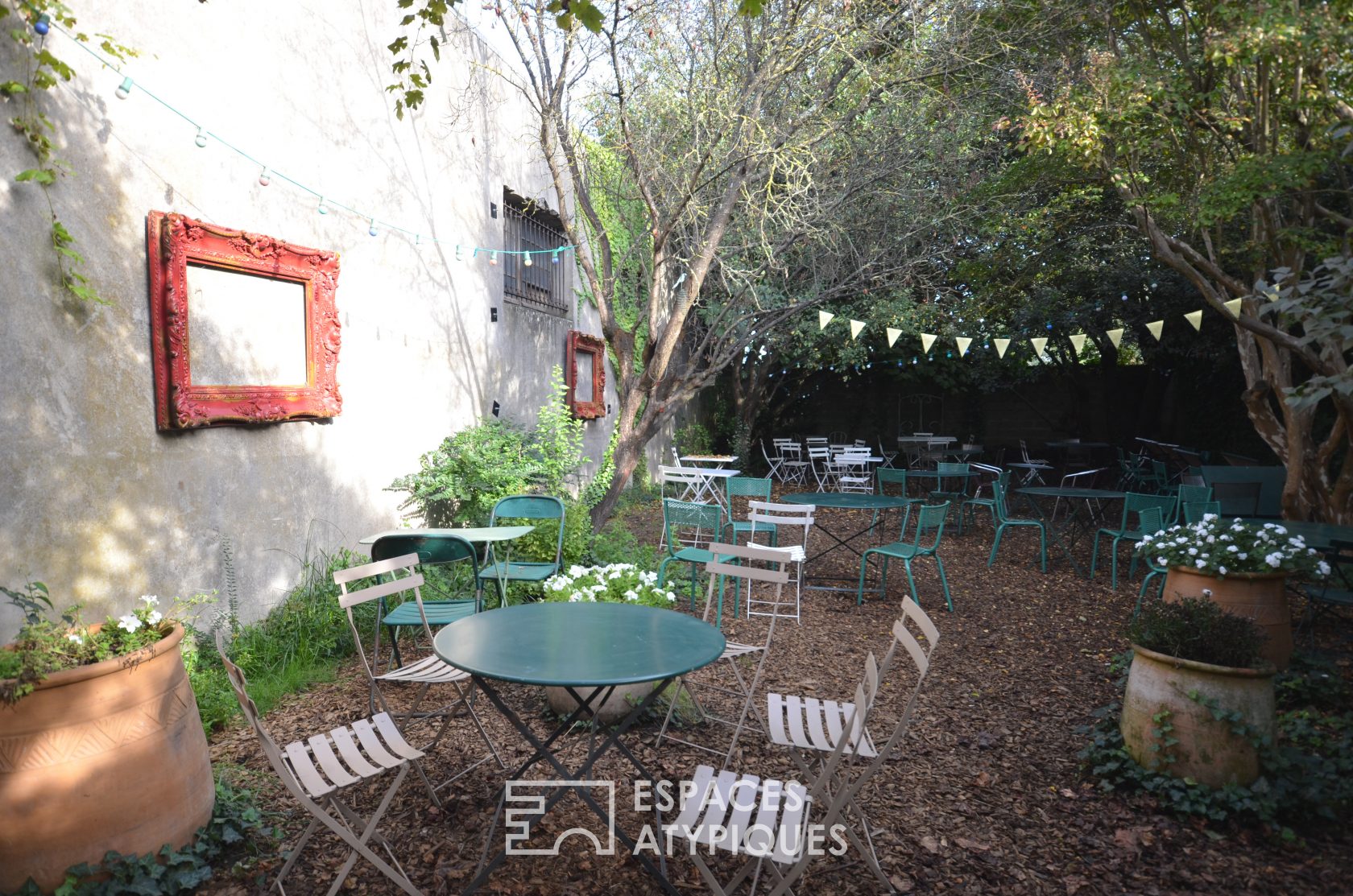 The colorful garden