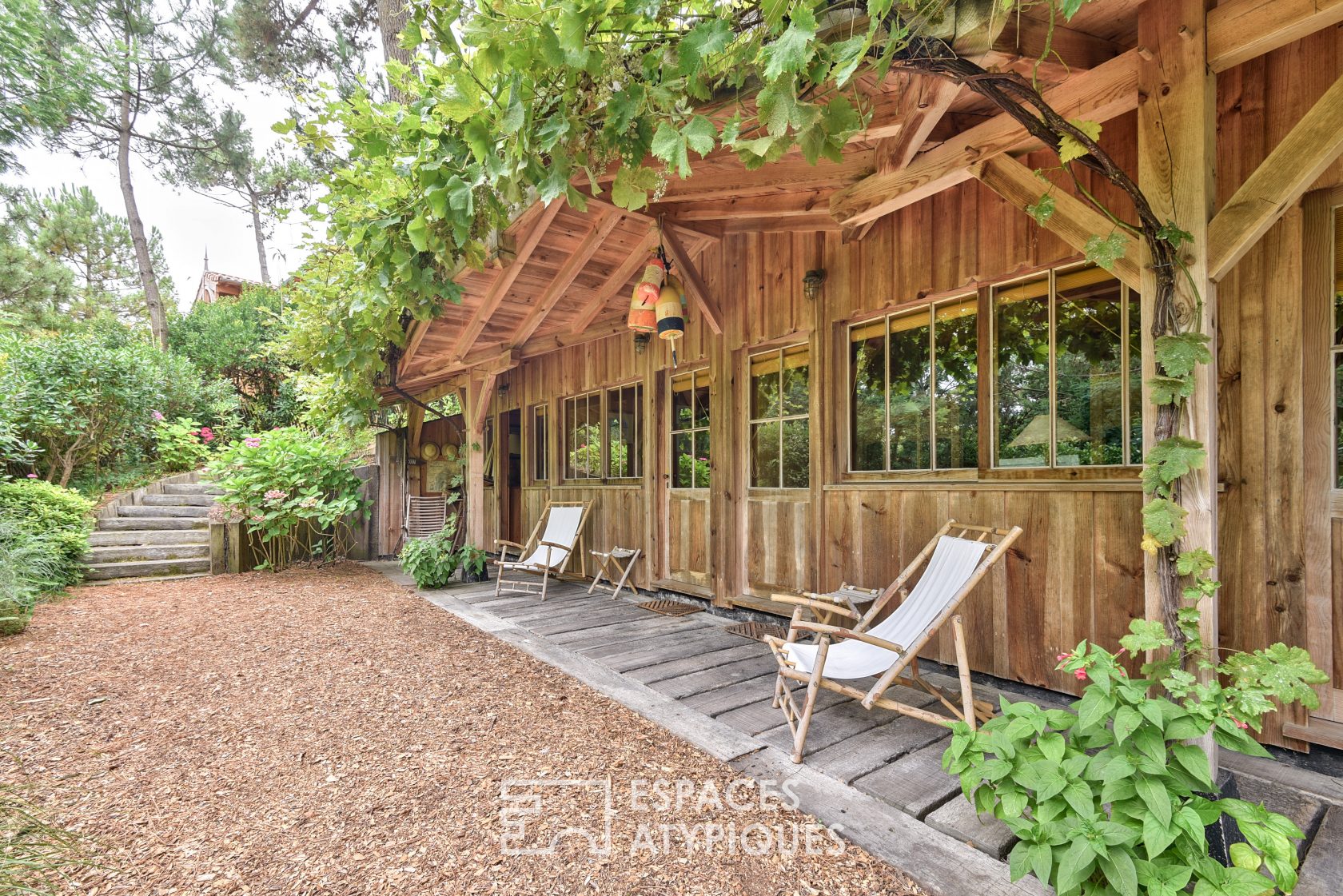 Wood house cap ferret