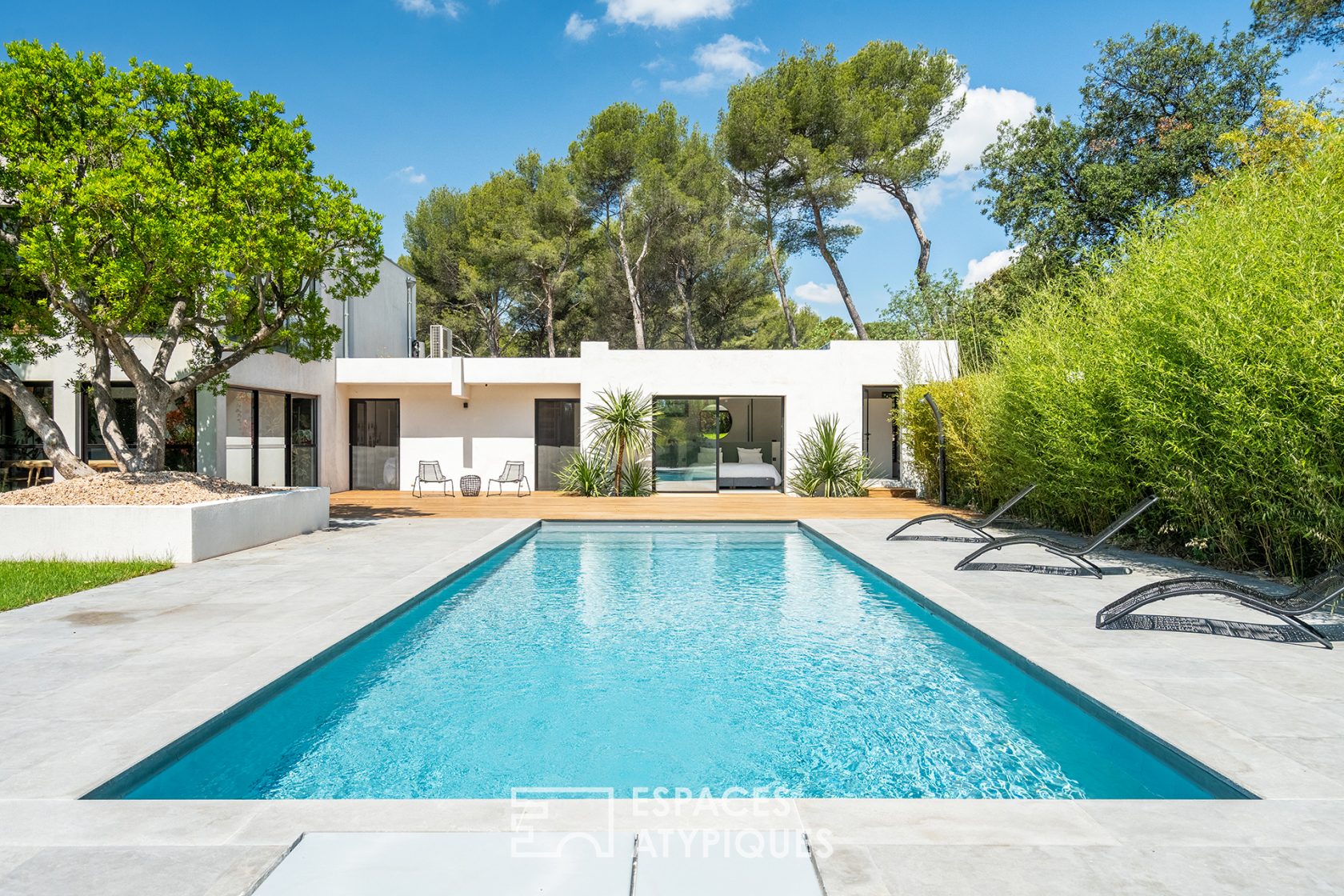 Maison californienne avec jardin exotique paysagé