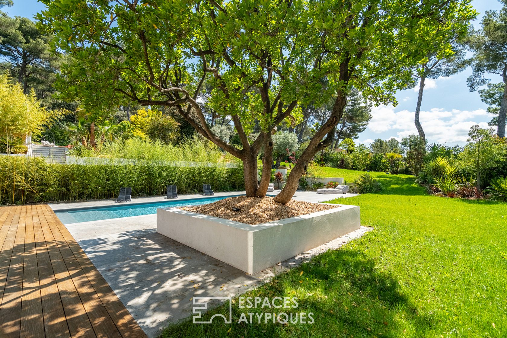 Maison californienne avec jardin exotique paysagé