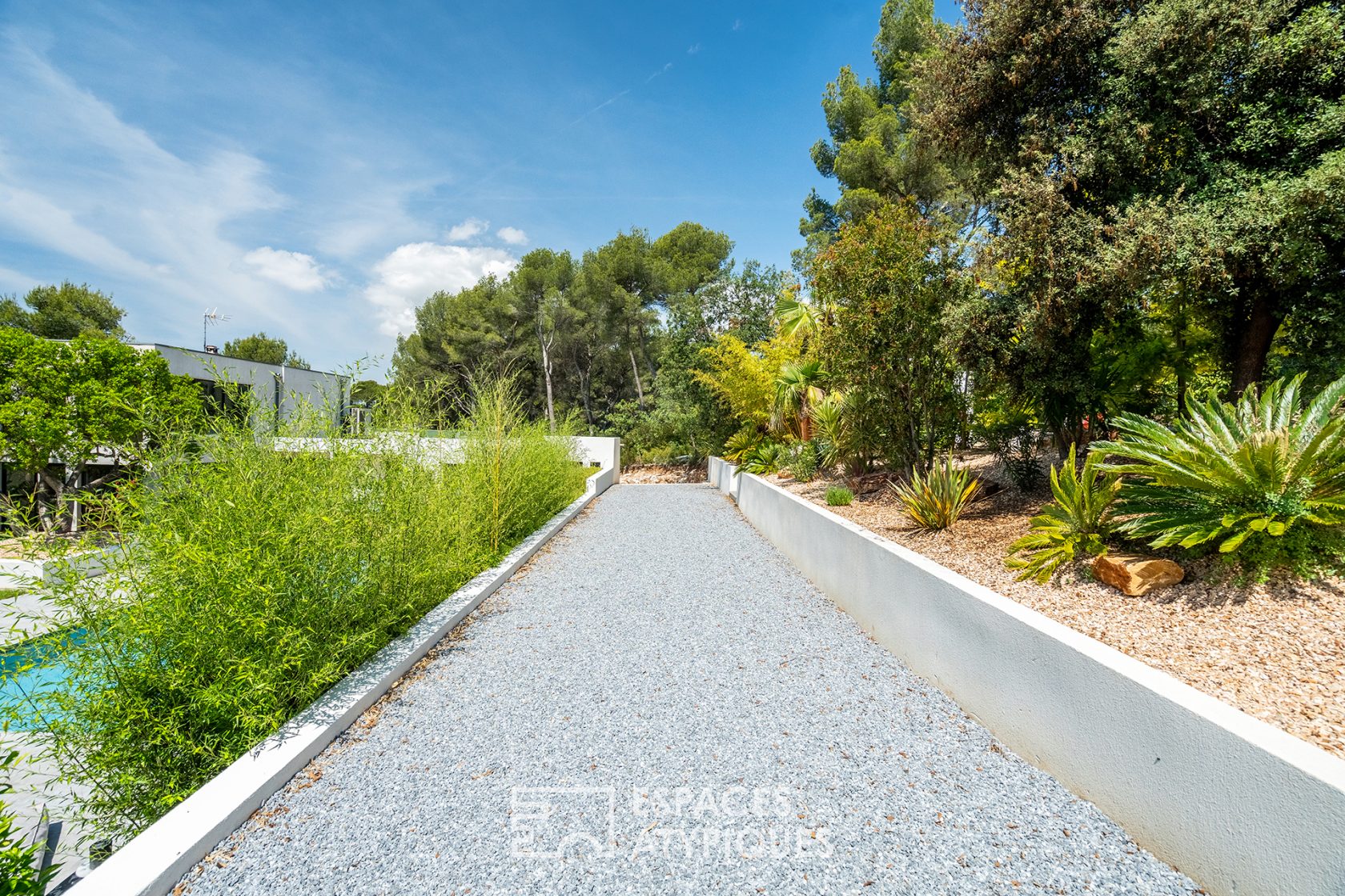 Maison californienne avec jardin exotique paysagé