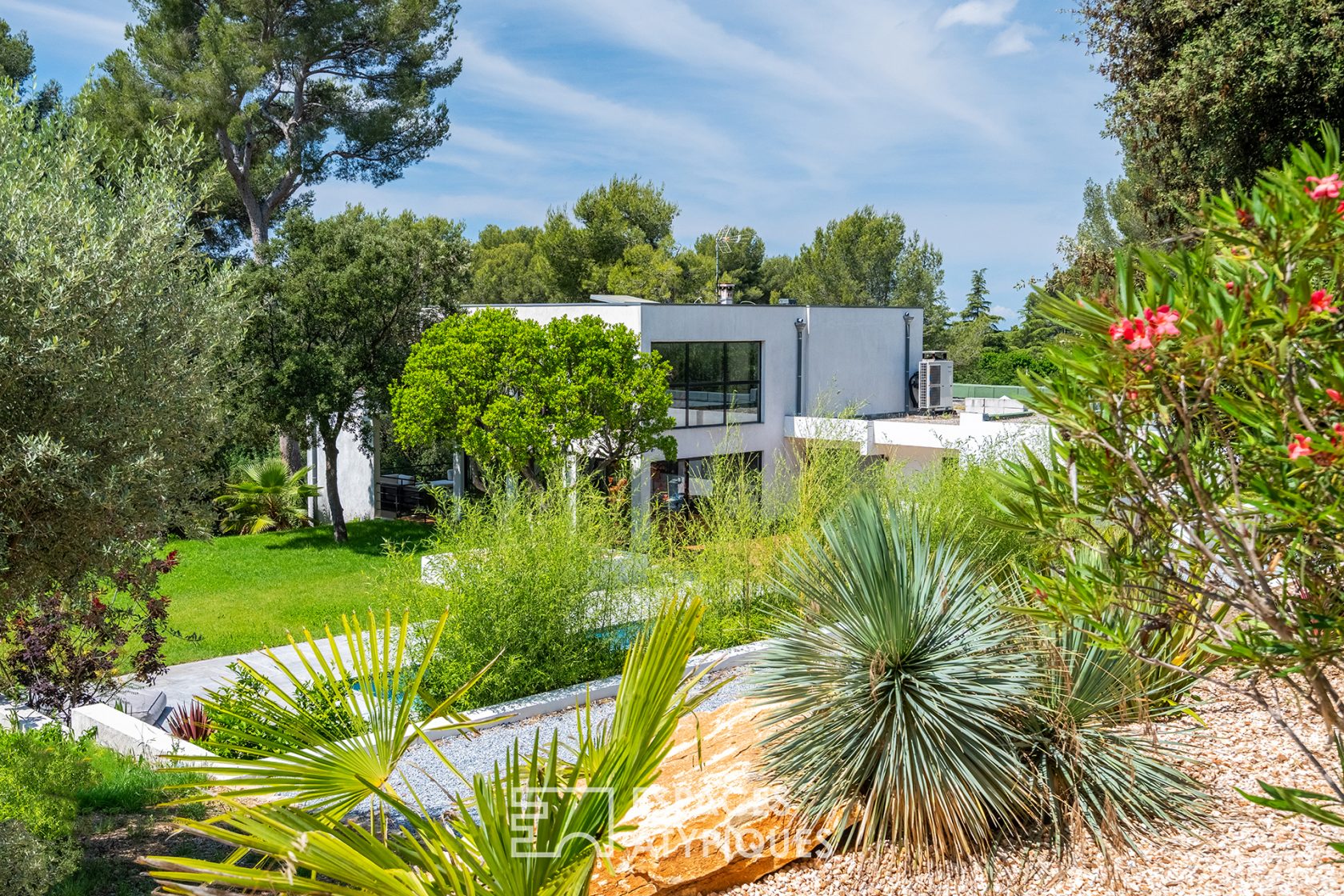 Maison californienne avec jardin exotique paysagé