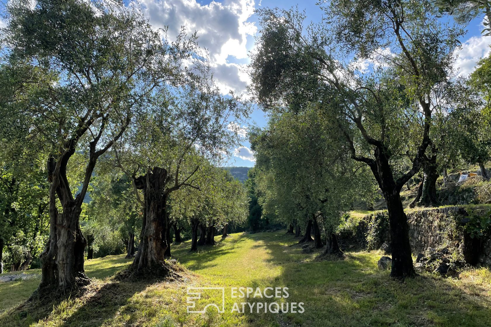 Domaine provençal avec restanques en pierres et piscines