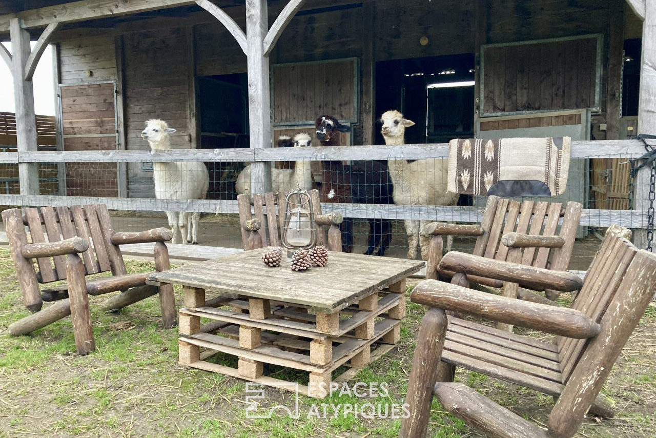 Ranch with Alpagas