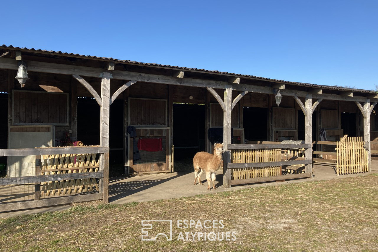 Ranch with Alpagas