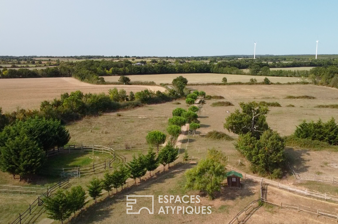 Ranch avec des Alpagas