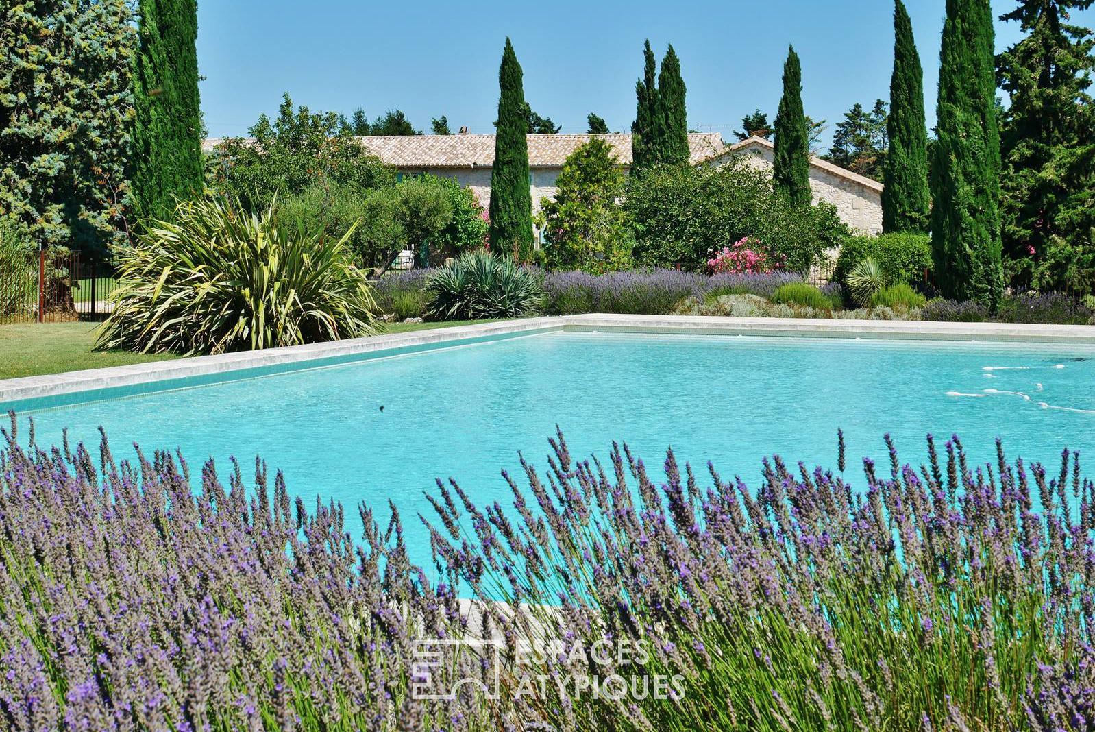 Farmhouse of the olive tree with swimming pool