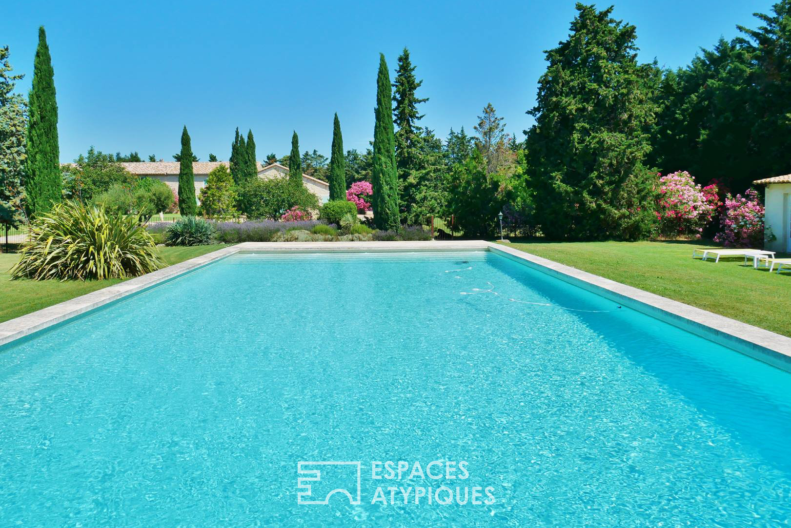Farmhouse of the olive tree with swimming pool