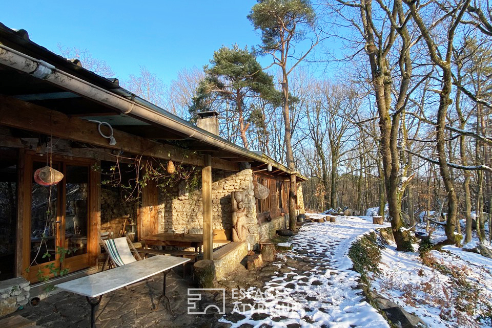 La cabane dans les bois