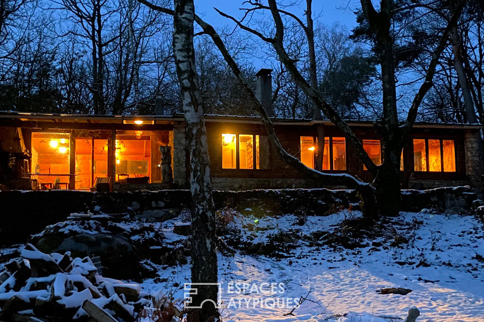 La cabane dans les bois