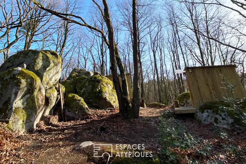 La cabane dans les bois