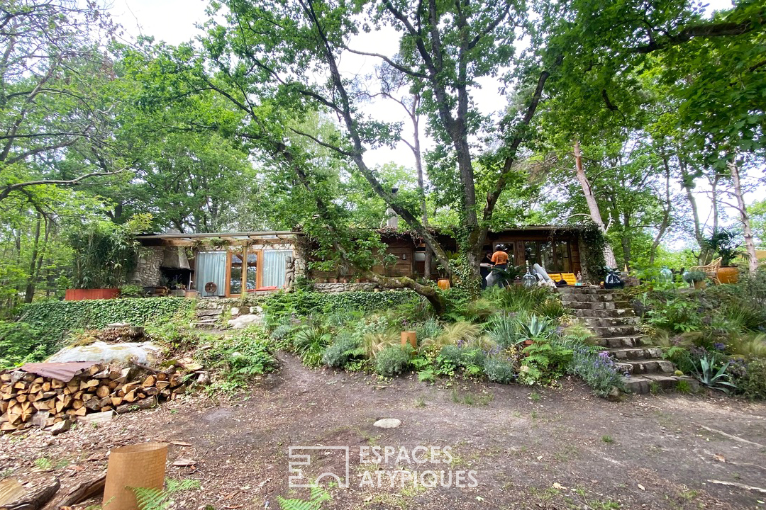 La cabane dans les bois