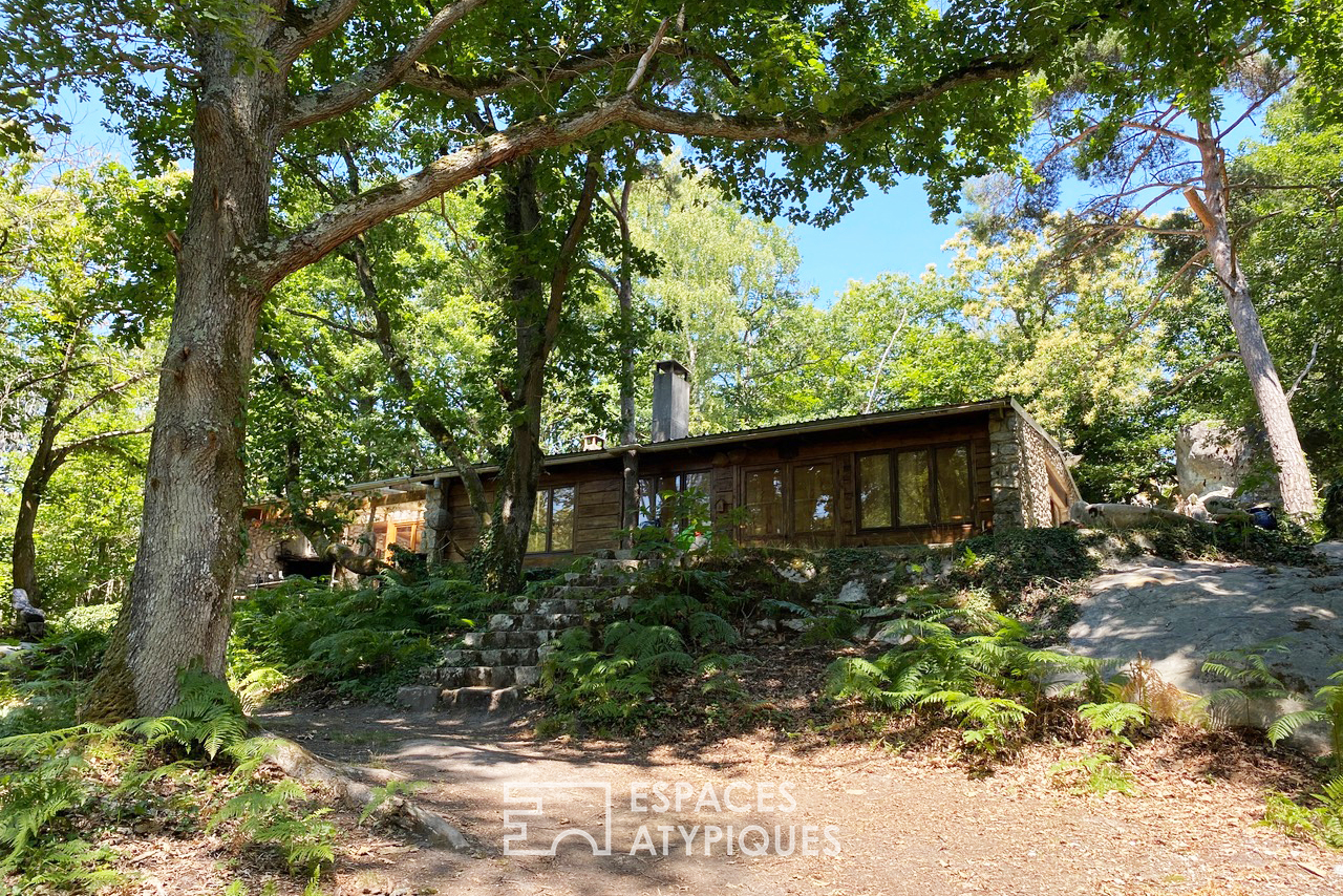 La cabane dans les bois