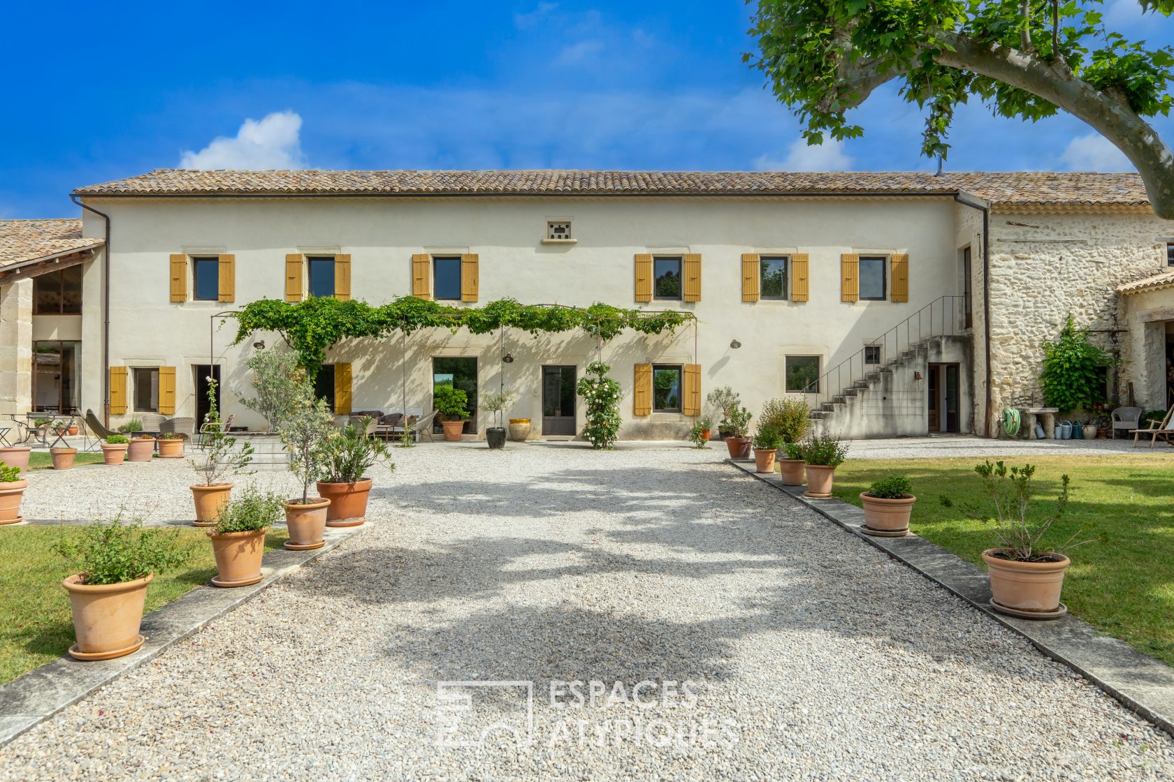 Mas de m house in the vineyards