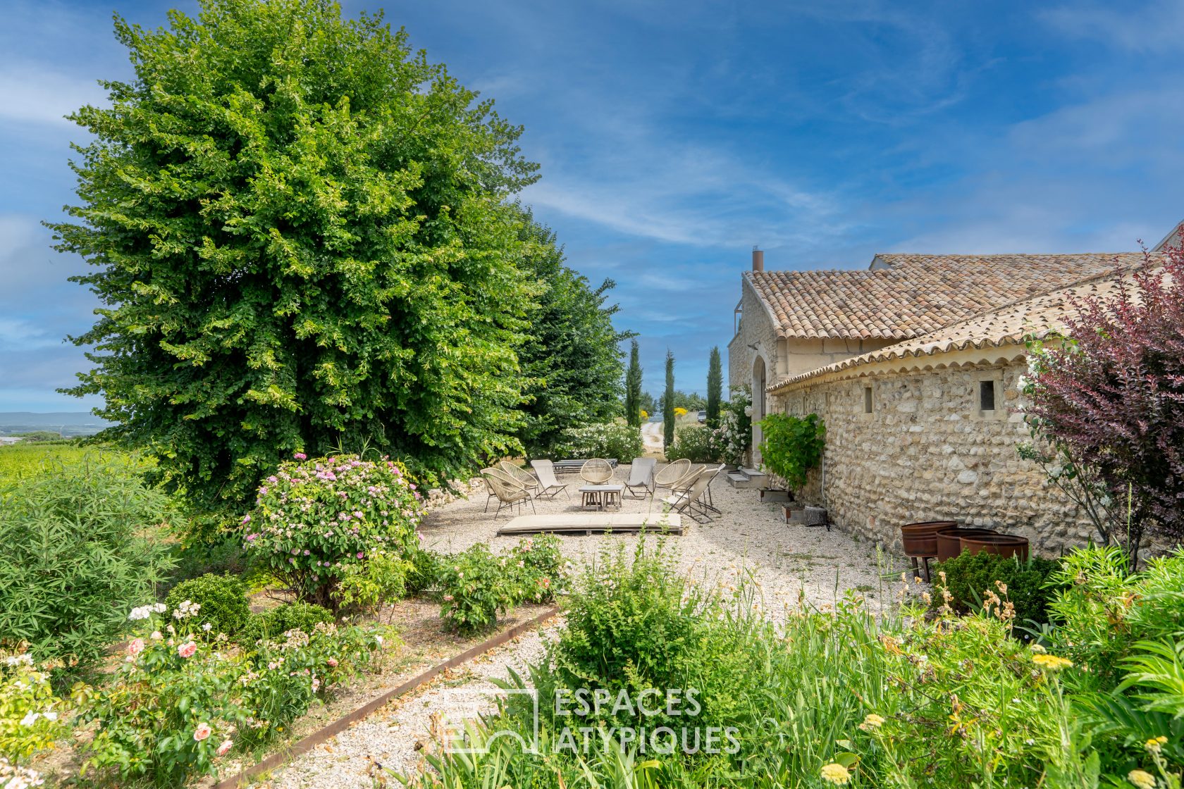 Mas de m house in the vineyards