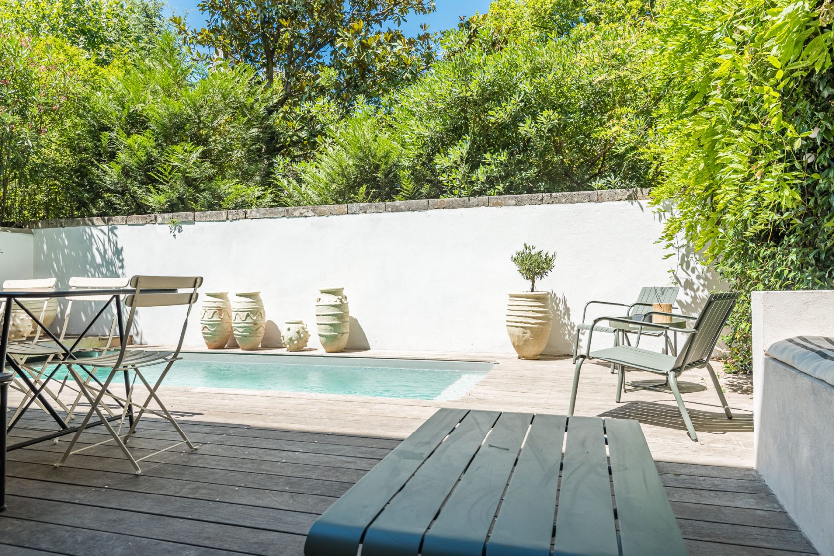 House decoration lime tree Bordeaux