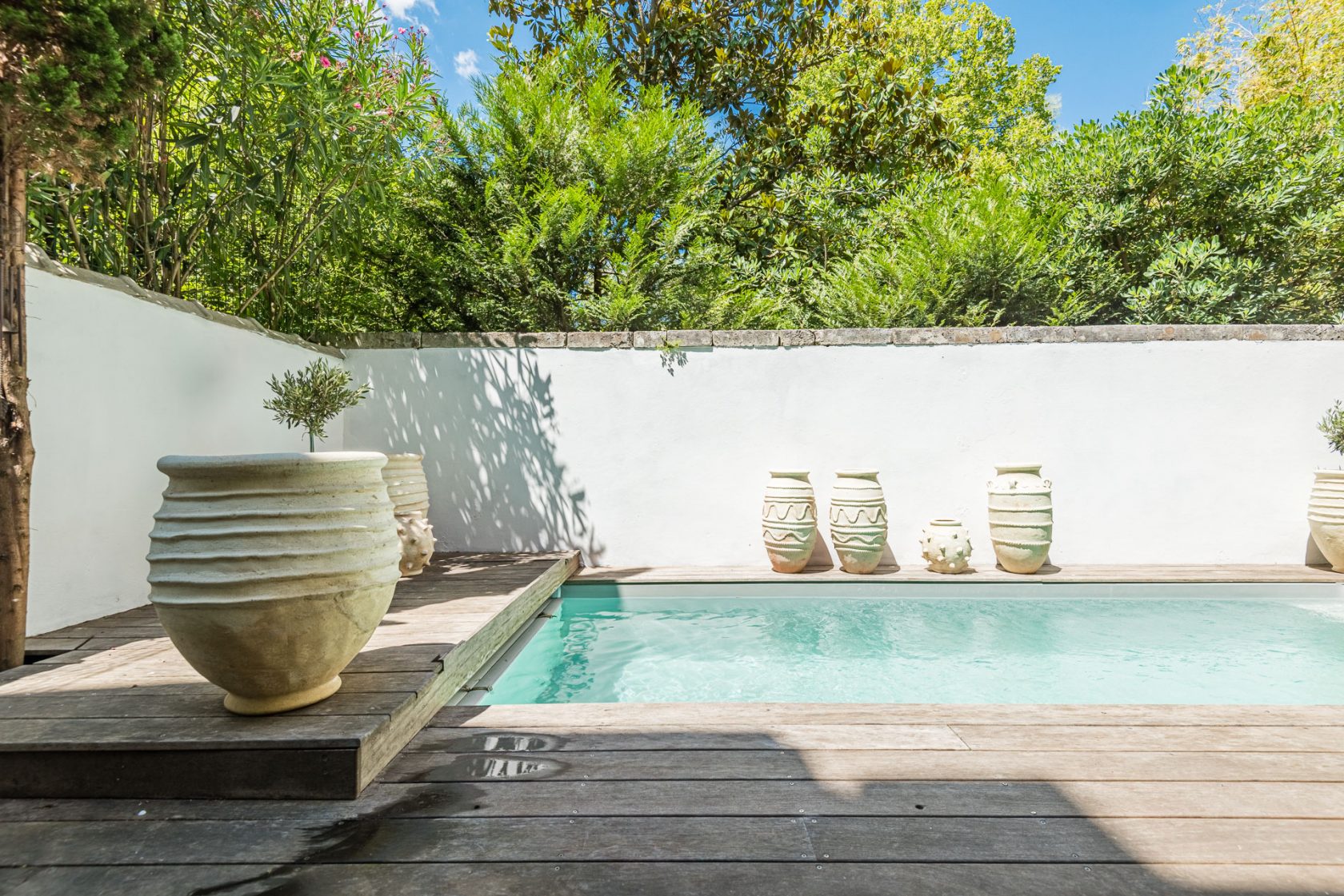 House decoration lime tree Bordeaux