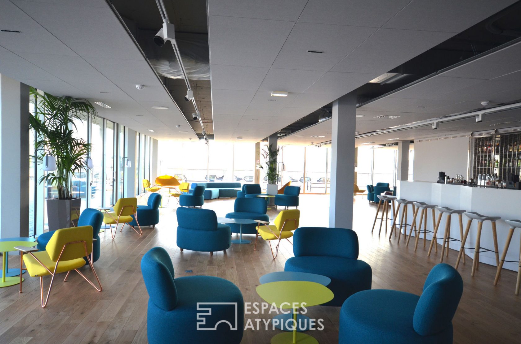 The lounge