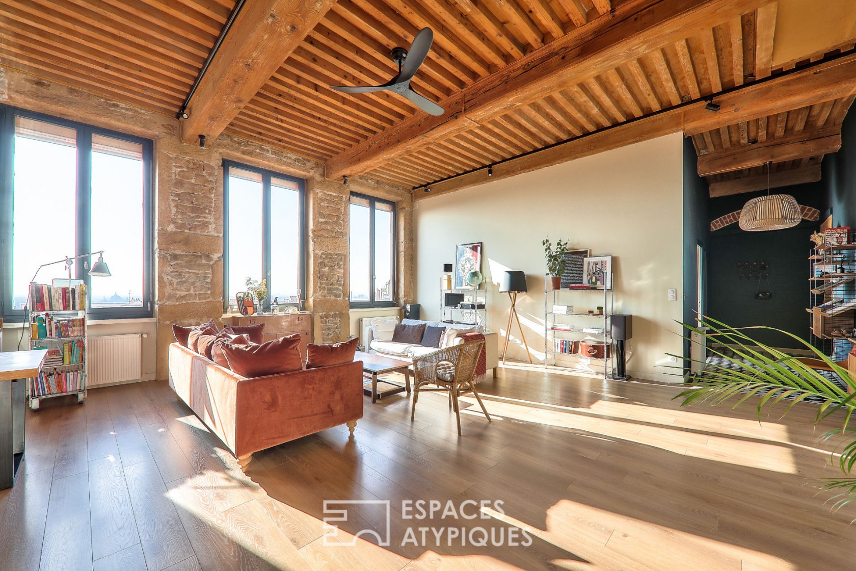 Panoramic canut