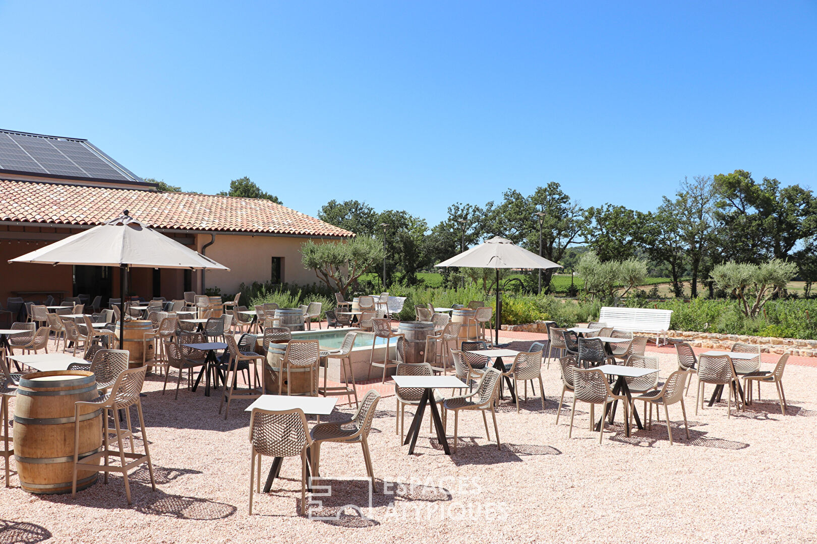 Provencal domain full of charm
