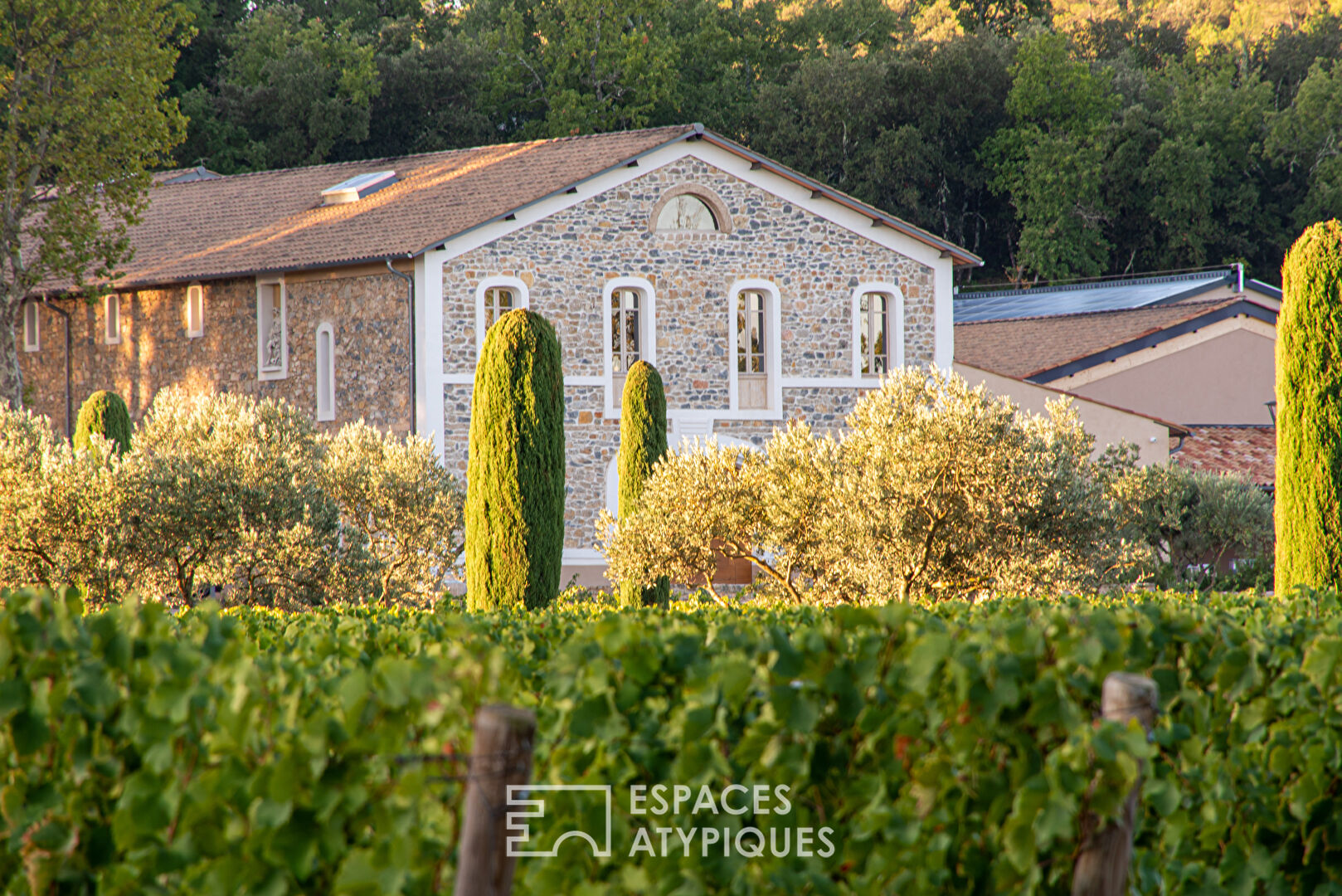 Provencal domain full of charm
