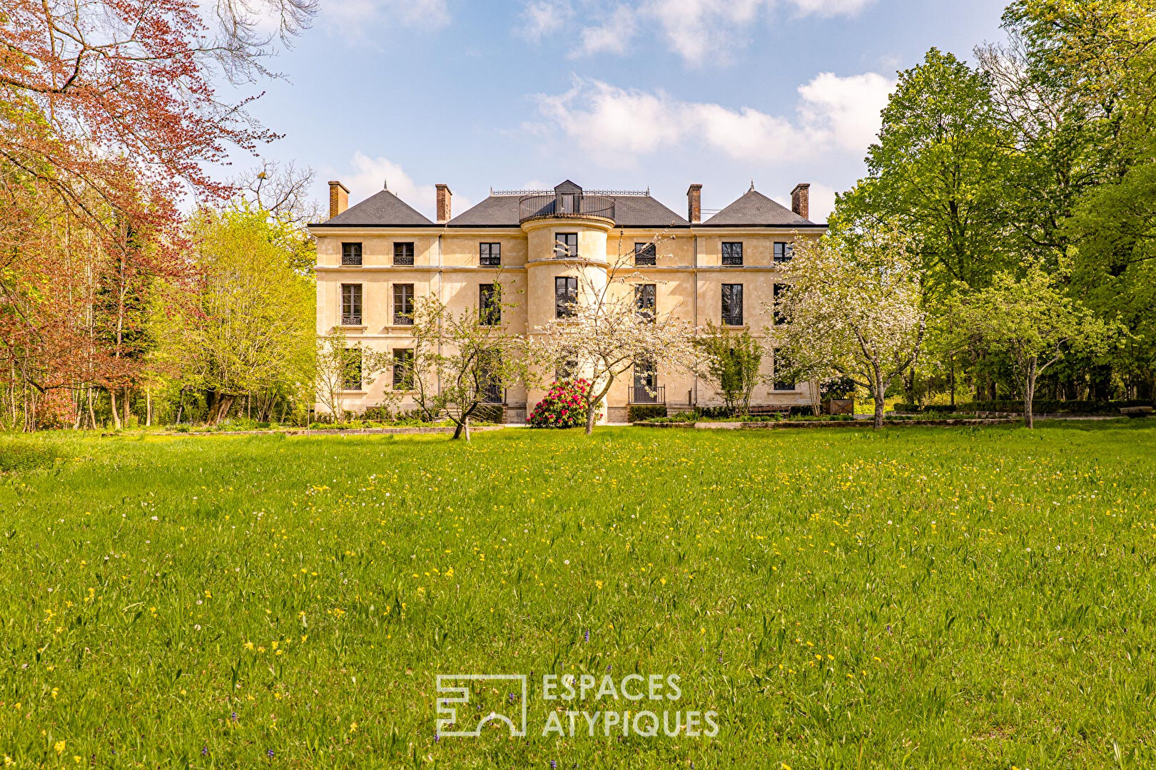 The Elegant Castle