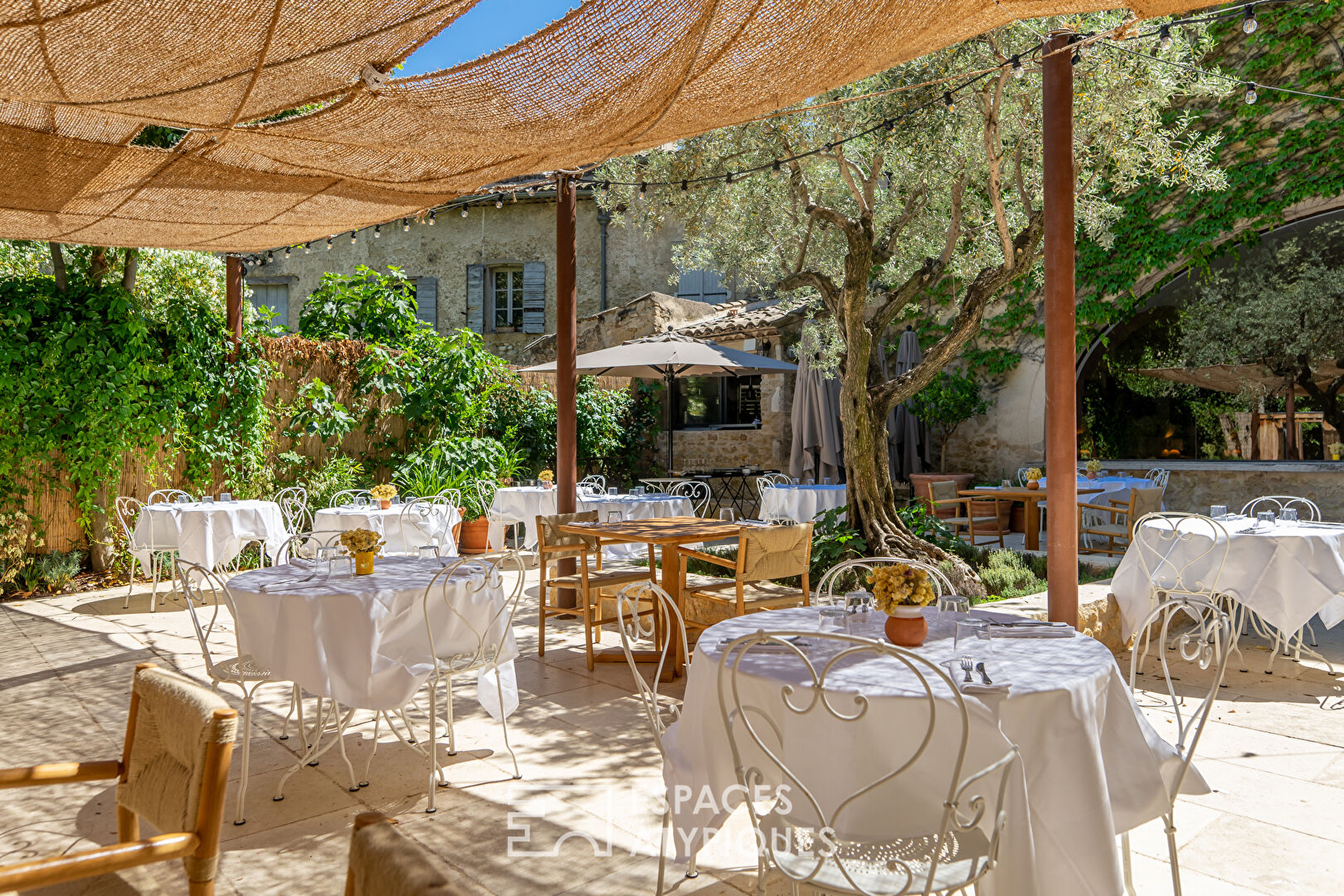 The mill of the Luberon