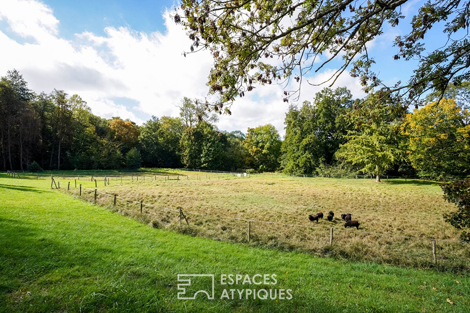 Demeure de 1930 au milieu d’un parc