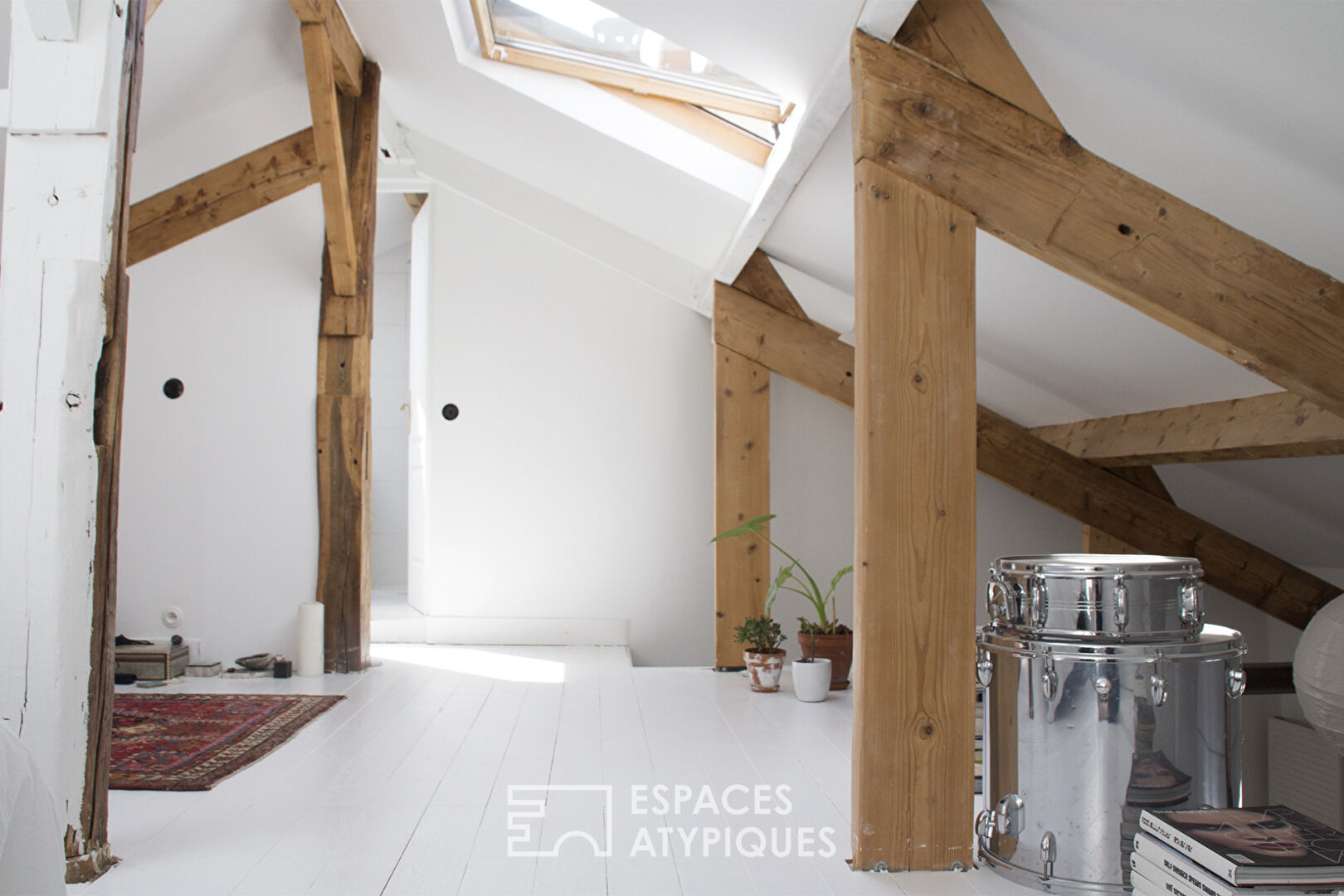 Charming duplex apartment
