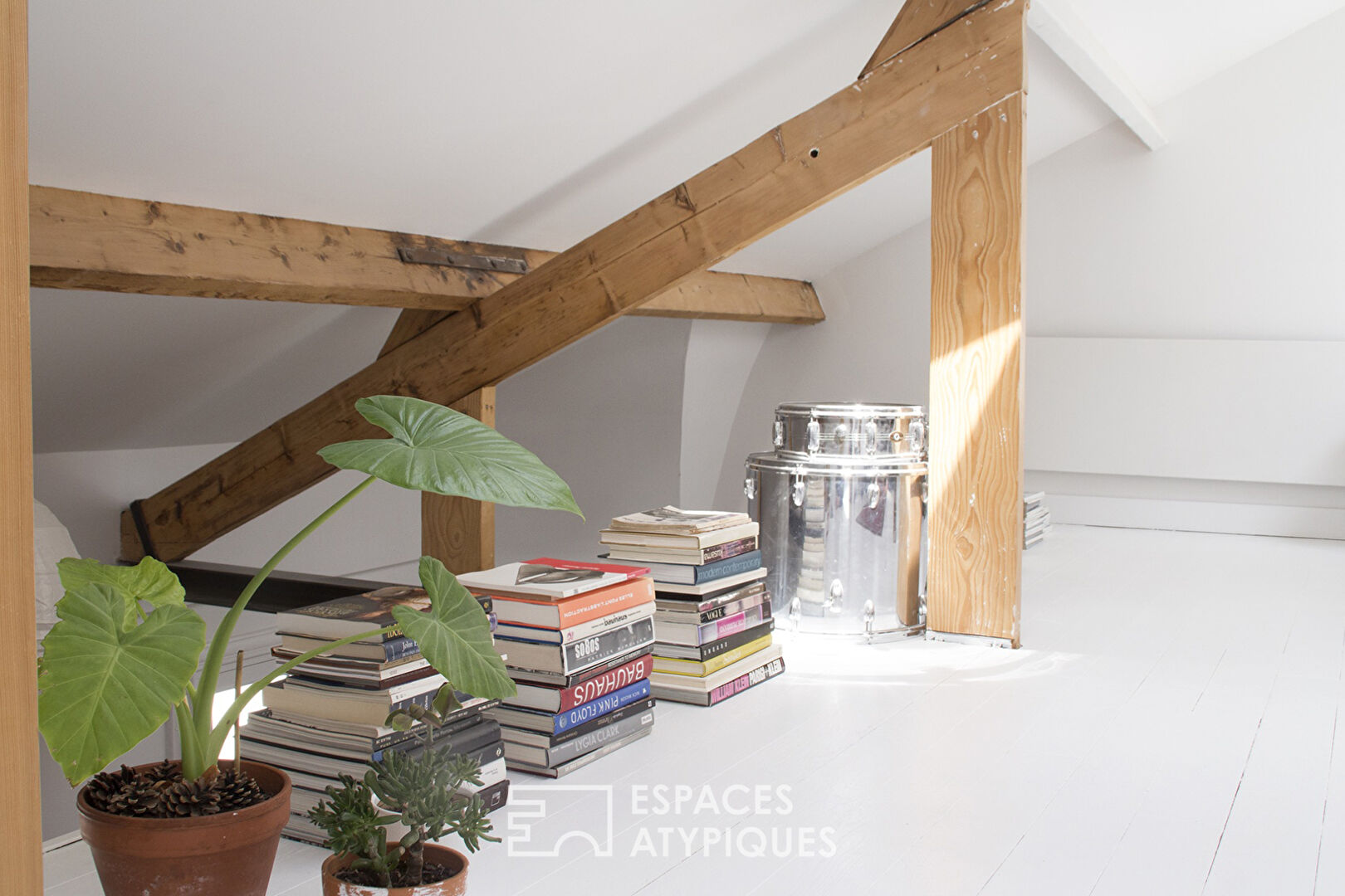 Charming duplex apartment