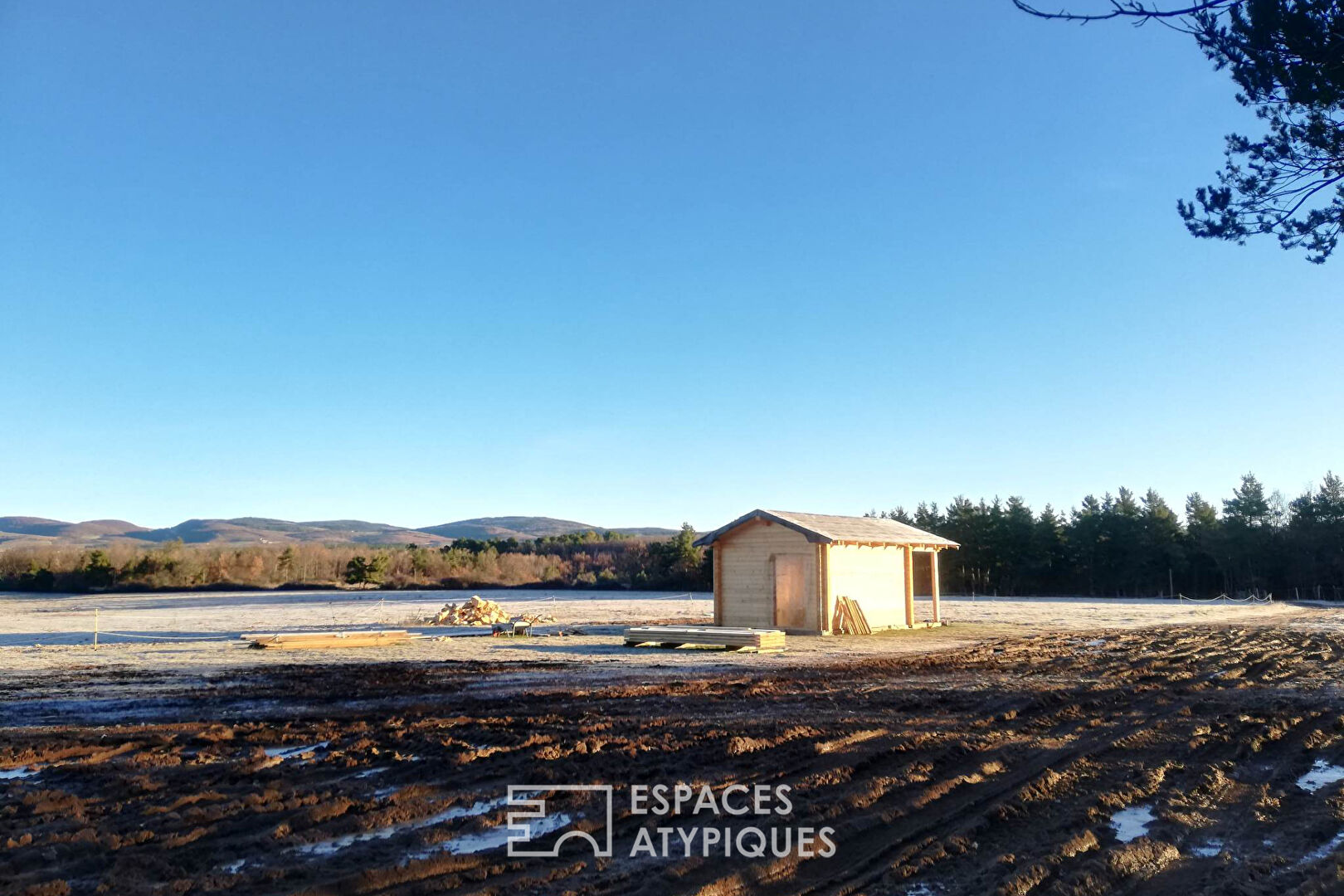 Ranch with horses and zebus