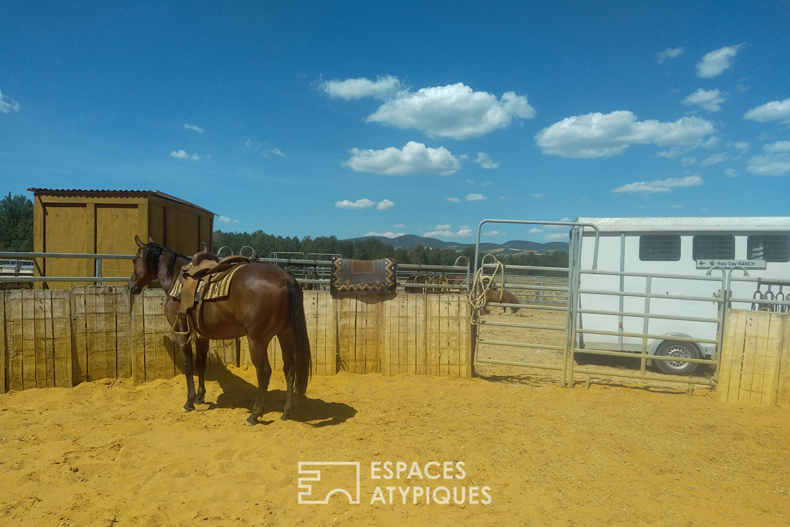 Ranch with horses and zebus