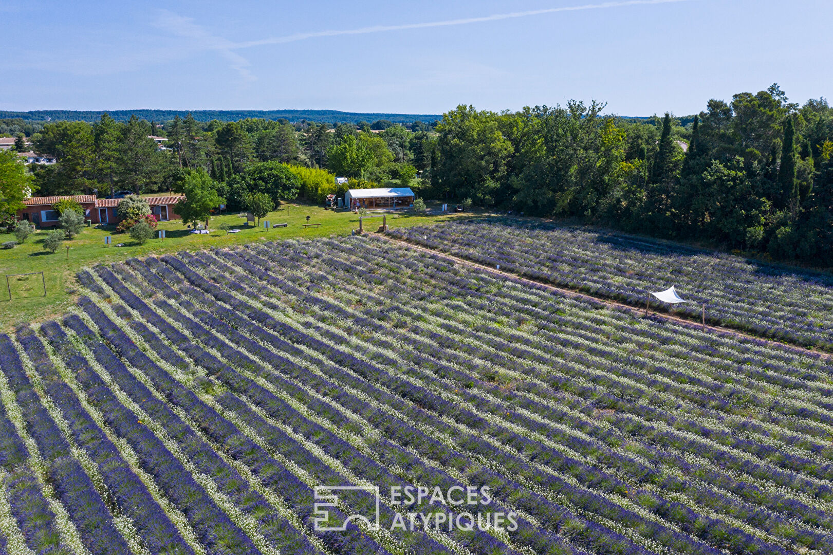 Meeting room and lavender fields