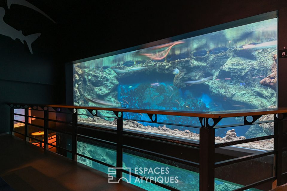 - Aquariums avec poissons pour shooting