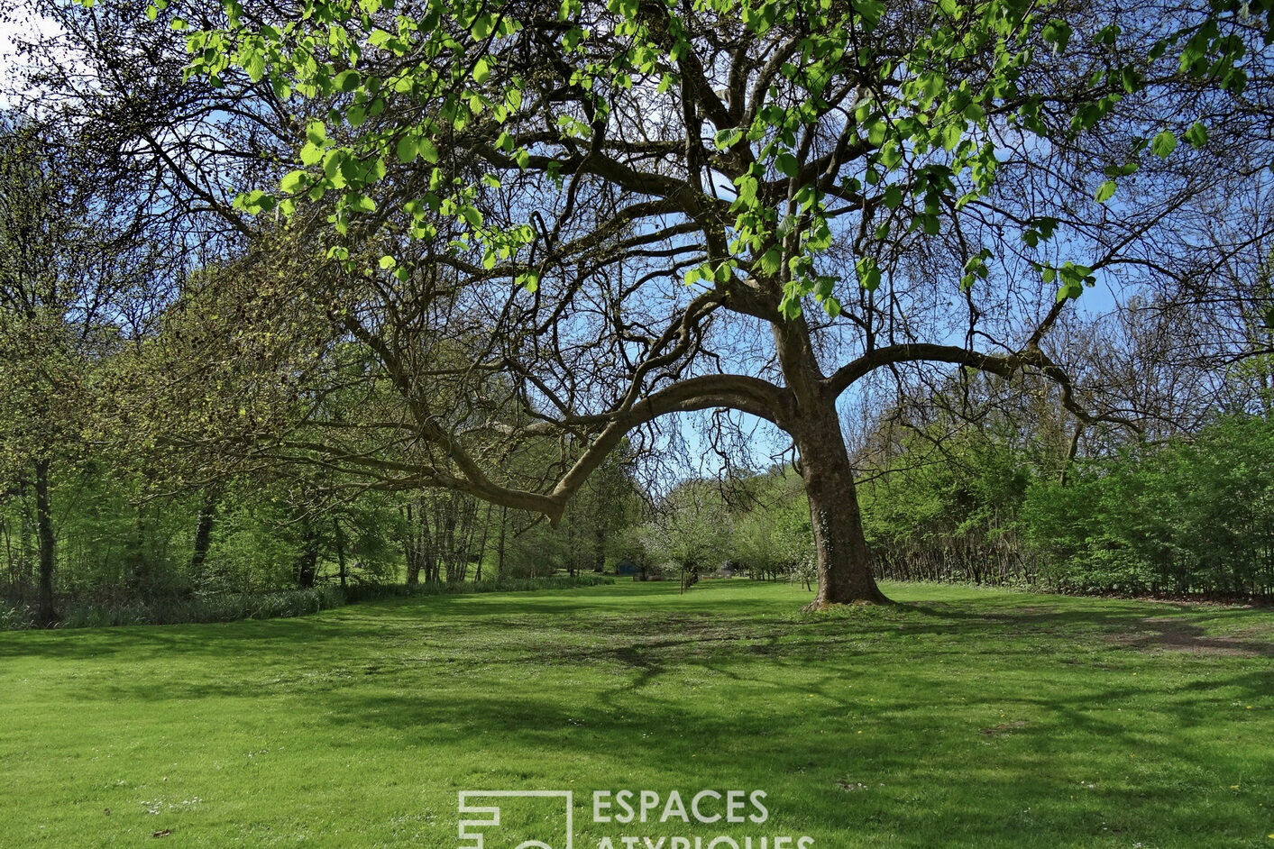 Château dans un parc paysager de 7 hectares